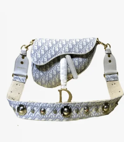 dior saddle baggray oblique embroidery blue ds1xb