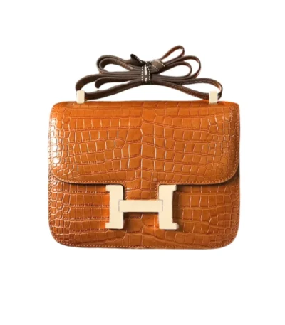 hermes mini constance 19 shiny alligator palladium hardware gold 19cm agjdj