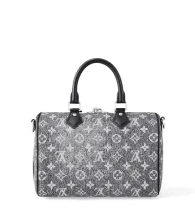 louis vuitton speedy bandoulire 25 grey svk3s